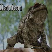 CryENGINE 3 DX11 3 4 5 FROG Tessellation Parallax Occlusion Mapping