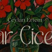 Ceylan Ertem Nar Çiçeği