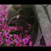 Fate Grand Order AMV Untraveled Road