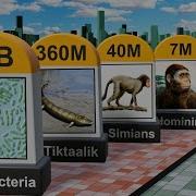 Human Evolution Timeline