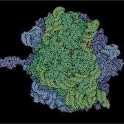 Origins Of Life Introduction Pattern Formation Reaction Diffusion Systems Chris Kempes