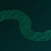 Trapcode Mir Water Cloth Material Audio Visualiser Example