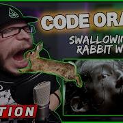 FIRST TIME HEARING CODE ORANGE Swallowing The Rabbit Whole REACTION