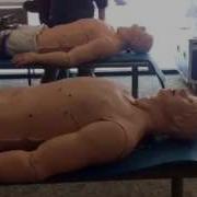 Human Patient Simulators