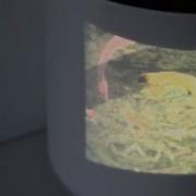 PICOZOOM A Context Sensitive Multimodal Zooming Interface