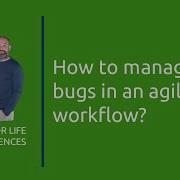 How To Manage Defects Bugs In An Agile Workflow