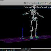 Visual 3D Tutorial 401 Answer MoS