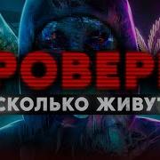 ГРОВЕРЫ Сколько живут и как скрываются от полиции и спортиков Работа из Даркнета Мориарти