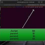 Shell Scripting Positional Parameters Linux Shorts