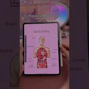 IPad Note Taking Infinite ZOOM Take Notes With Me Digital Notes InfinitePro App Study Notes