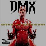 DMX Bring Your Whole Crew