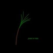 Animate A Tree With Python Using Turtle Module