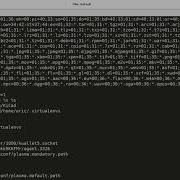 ULI101 Lecture 10 Introduction To Bash Scripting