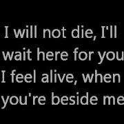 Three Days Grace Time Of Dying Lyrics