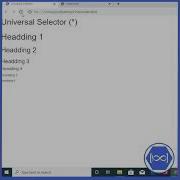 Universal Selector CSS