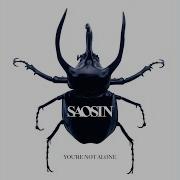 You Re Not Alone Radio Edit