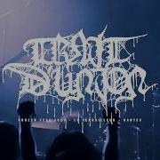 Trait D Union Crever Stérile Live At Frozen Fest
