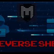 REVERSE SHELL Meterpreter Metasploit Kali Linux Tutorial YoshAvlodKanali