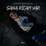 Sana Ricam Var