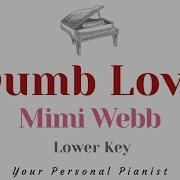 Dumb Love Mimi Webb LOWER Key Karaoke Instrumental Cover With Lyrics