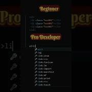 Beginner Vs Pro Developer Programming Html5 Css Javascript