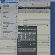 FileMaker Scripting