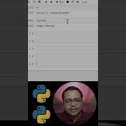 Python NumPy Empty Arrays Shorts