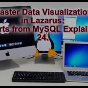 Master Data Visualization In Lazarus Charts From MySQL Explained Lazarus Freepascal Mysql