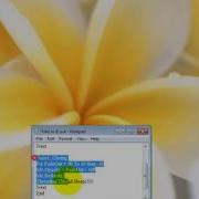How To Make A Fade In Fade Out Program In Visual Basic 2010