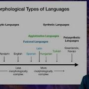 Introduction To Linguistics Morphology 3
