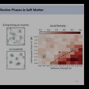 Dhananjay Bhaskar 3 2 22 Data Driven Modeling TDA Of Self Organized Multicellular Architectures