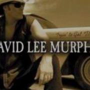 Party Crowed David Lee Murphy