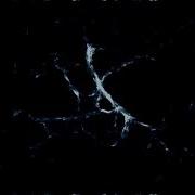 Physarum Polycephalum Processing CPU Only