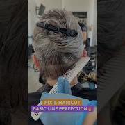 PIXIE HAIRCUT BASIC LINE PERFECTION Complete Tutorial Linked Below