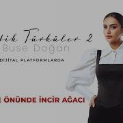 Elif Buse Doğan Hastane Önünde İncir Ağacı