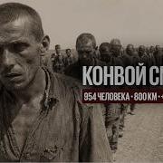 КОНВОЙ СМЕРТИ ЧЕРТКОВ УМАНЬ 1941 954 ЧЕЛОВЕКА 800 КИЛОМЕТРОВ 30 ДНЕЙ