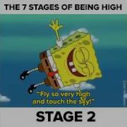 THE 7 STAGES OF BEING HIGH