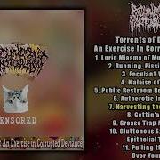 Redundant Protoplasm Torrents Of Depravity An Exercise LP FULL ALBUM 2024 Goregrind