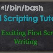 Write Exciting First Shell Script Amazing Way To Start Learning
