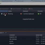 Custom Domain Name For Hosted Java Jelastic Tutorial 3