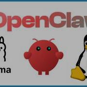 How To Setup Run OpenClaw With Ollama On Ubuntu Linux And Zero API Cost 2026