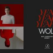 Yeah Yeah Yeahs Wolf Boy Harsher Remix Official Audio