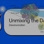Deconvolution In Cancer Overview