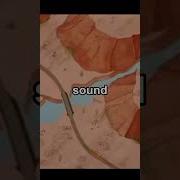 The Origin Of Road Runner S Iconic Beep Beep Sound