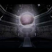 KOTO Bionic Brain Fan Video