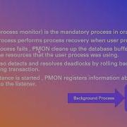 Oracle PMON Process Monitor