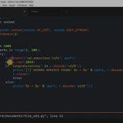 Python Tutorial Create A SIMPLE Port Scanner Code Walk Through Hacking Info Sec