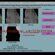 Corn Leaf Disease Detection Using Image Processing Python Code Deep Learning CNN Project Code