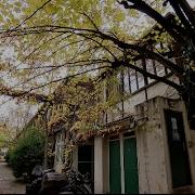 Paname Autour De Montparnasse