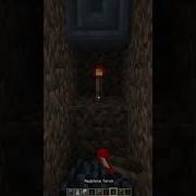 Minecraft Password Door Shorts